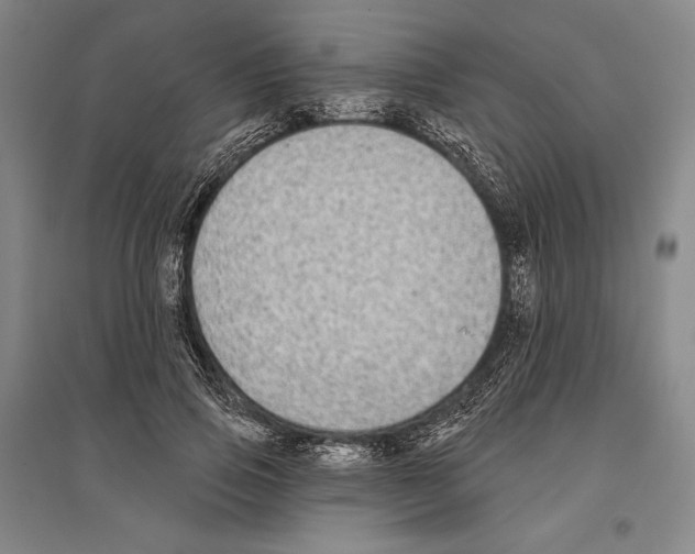 X0000096630741200803041103