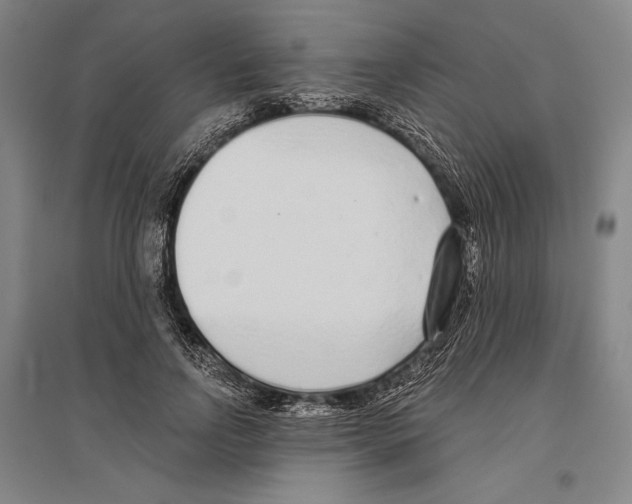 X0000096630742200803041103