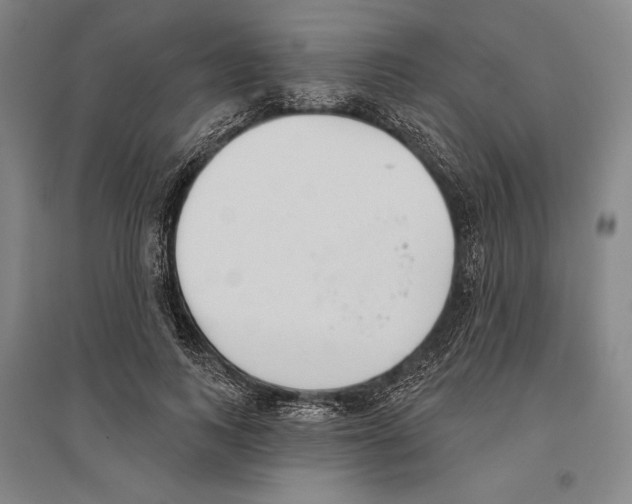 X0000096630743200803041104