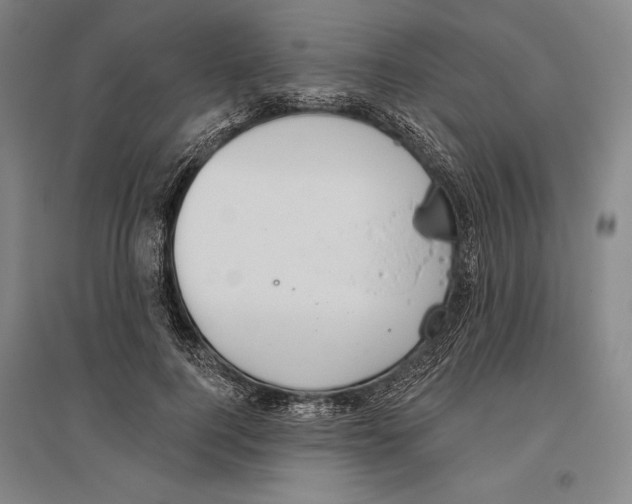 X0000096630744200803041104