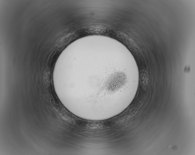 X0000096630745200803041104
