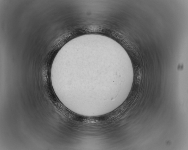 X0000096630746200803041104