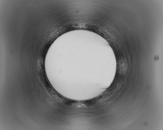 X0000096630747200803041104
