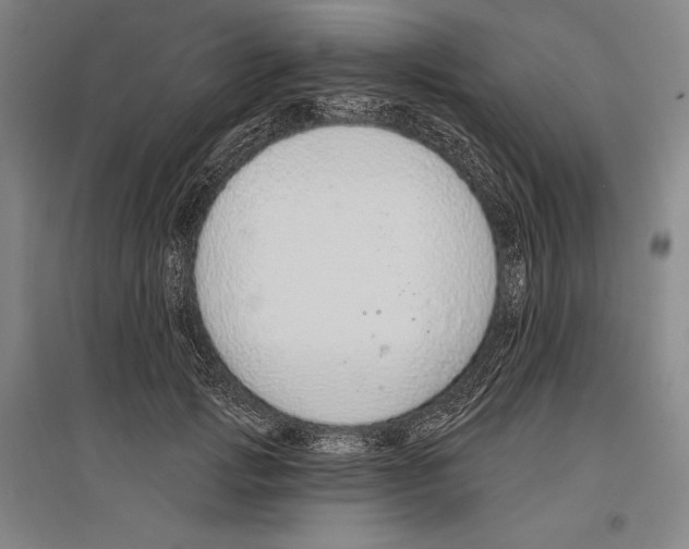 X0000096630749200803041104