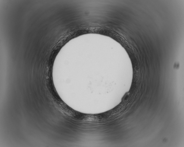 X0000096630750200803041104
