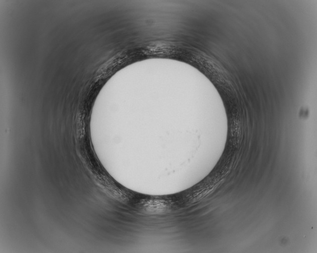 X0000096630751200803041104