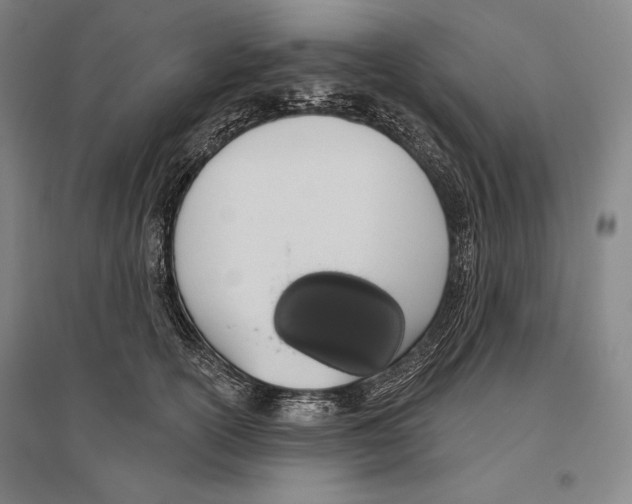 X0000096630754200803041104