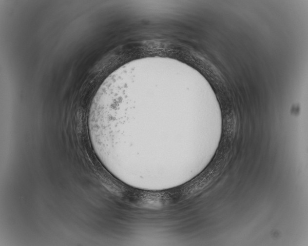 X0000096630757200803041104