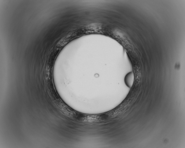X0000096630758200803041104