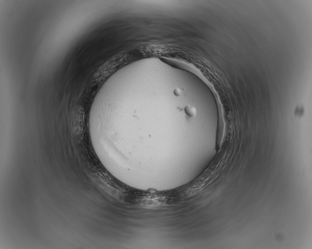 X0000096630760200803041104