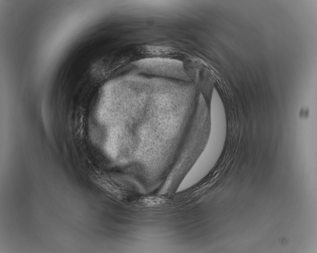 X0000096630762200803041104