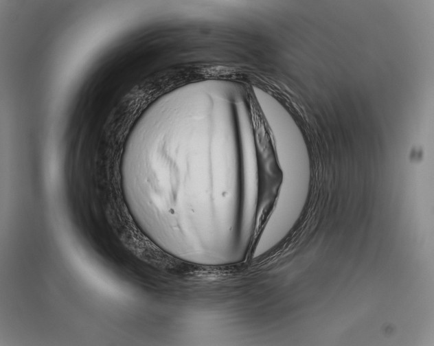 X0000096630763200803041104