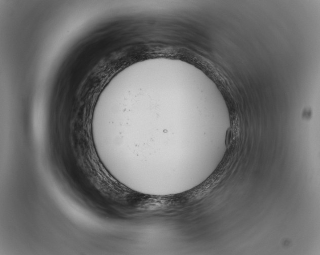 X0000096630764200803041104