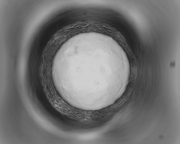 X0000096630765200803041104