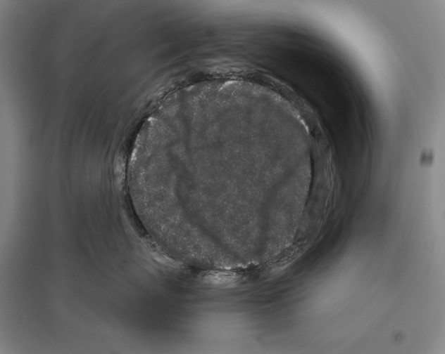 X0000096630767200803041104