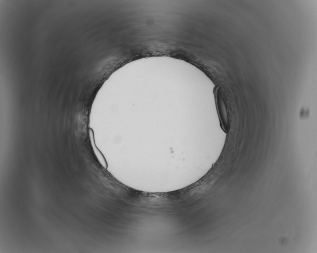 X0000096630768200803041104