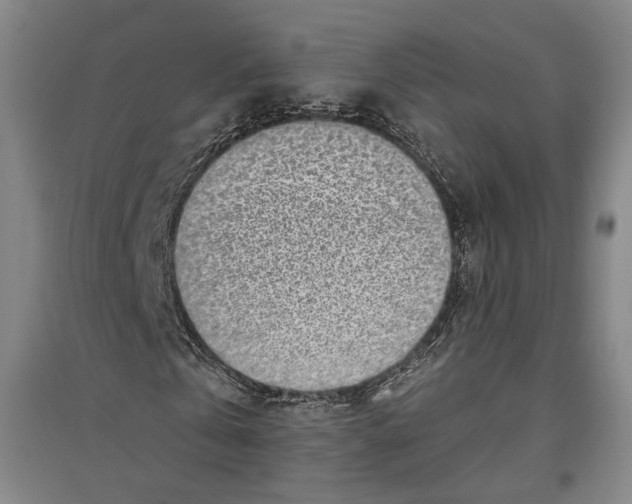 X0000096630769200803041103