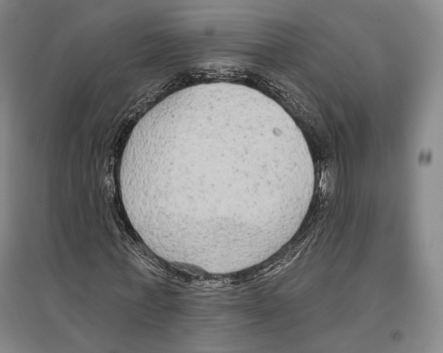 X0000096630771200803041103