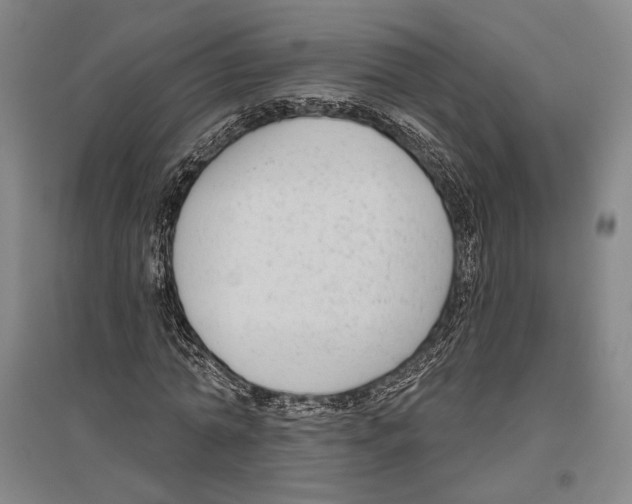 X0000096630774200803041103