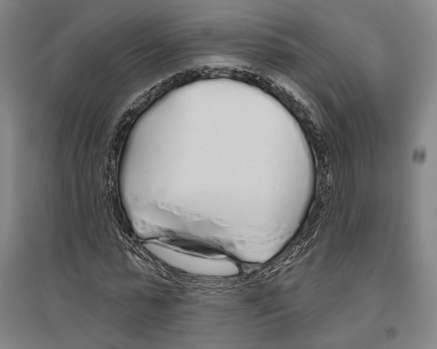 X0000096630775200803041103