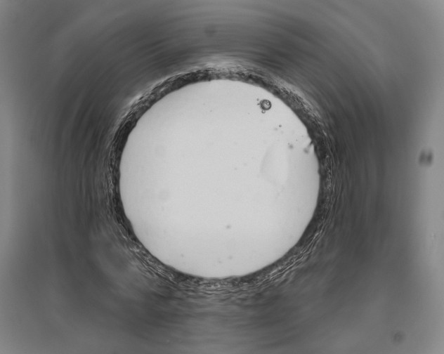 X0000096630776200803041103