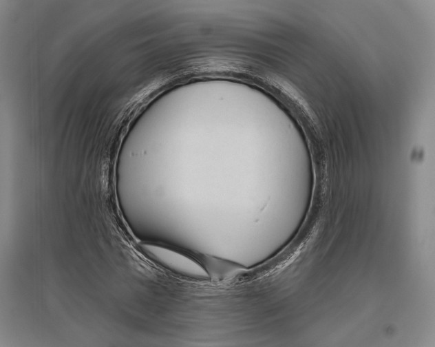 X0000096630777200803041103