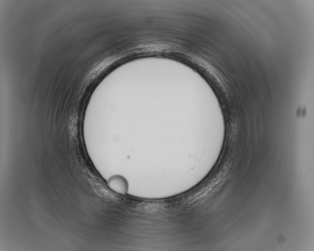 X0000096630778200803041103
