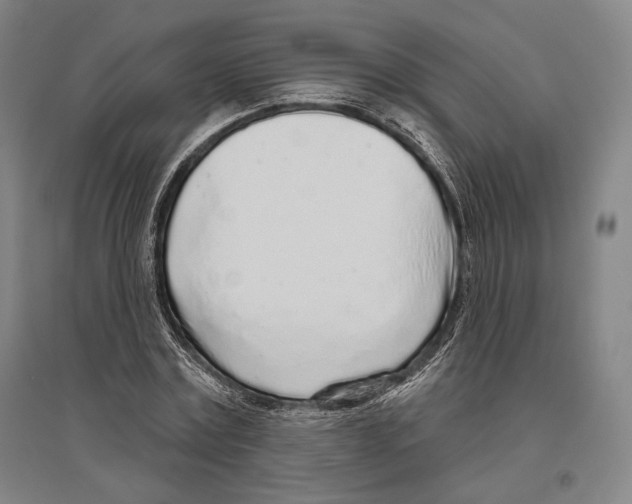 X0000096630779200803041103