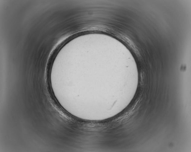 X0000096630780200803041103