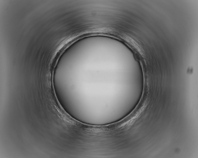 X0000096630781200803041103
