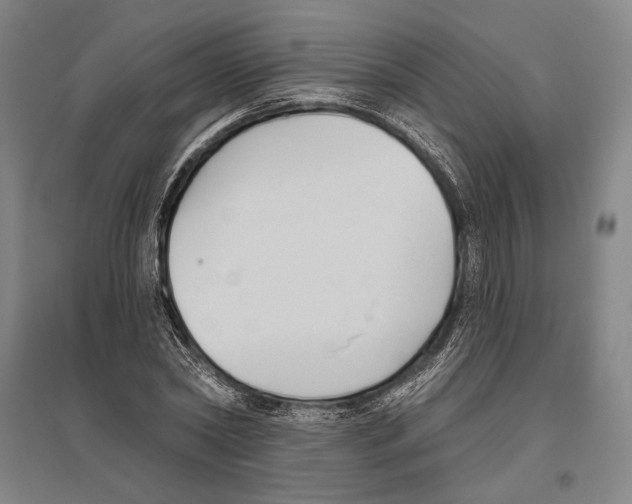 X0000096630782200803041103