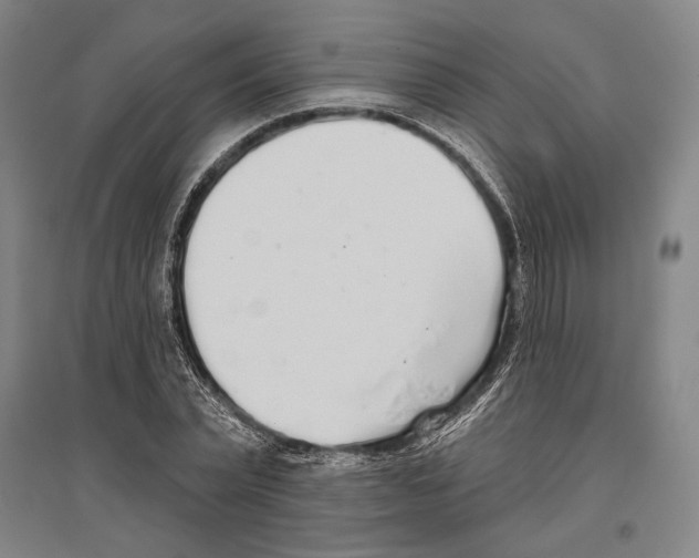 X0000096630783200803041103