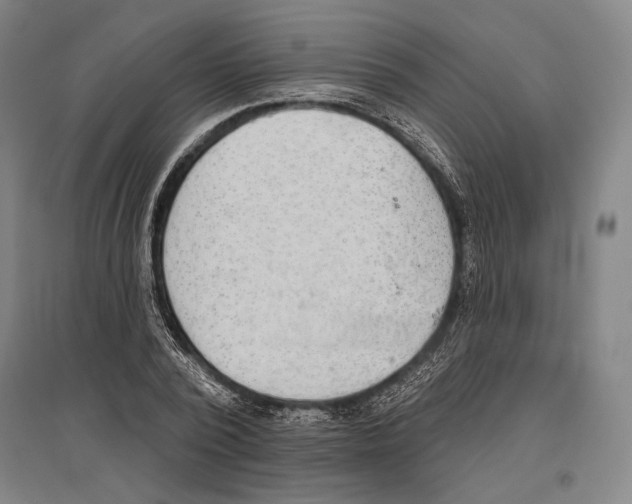 X0000096630784200803041103