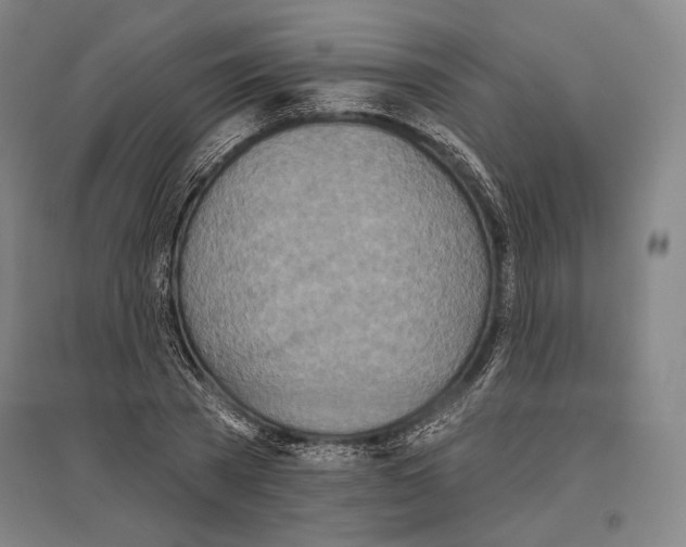 X0000096630785200803041103