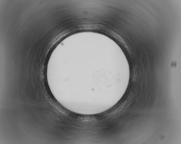 X0000096630786200803041103