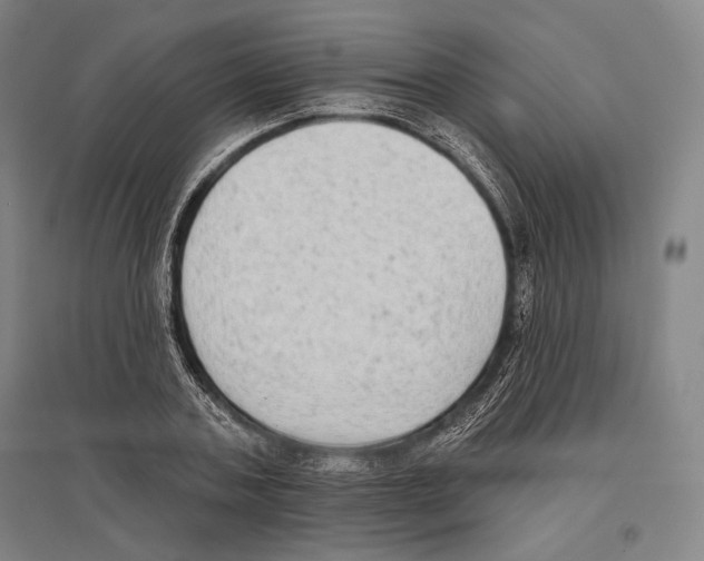 X0000096630787200803041103