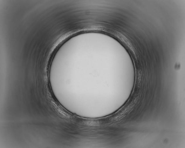 X0000096630789200803041103