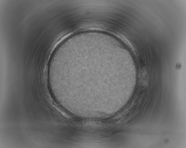X0000096630790200803041103