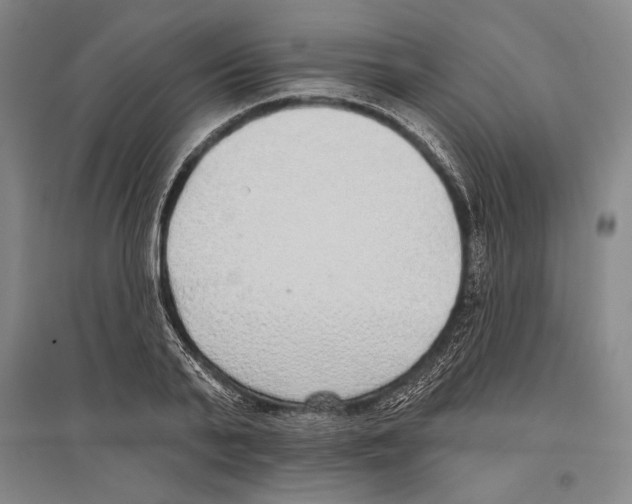 X0000096630791200803041103