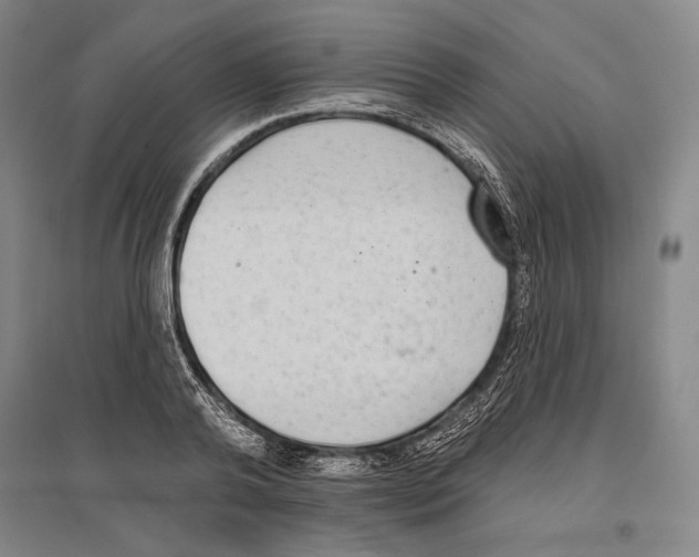 X0000096630792200803041103