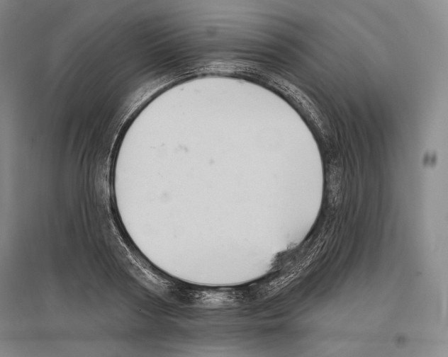 X0000096630794200803041103