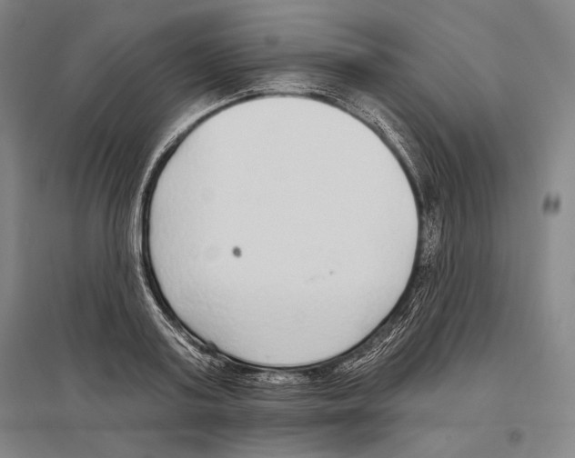 X0000096630795200803041103