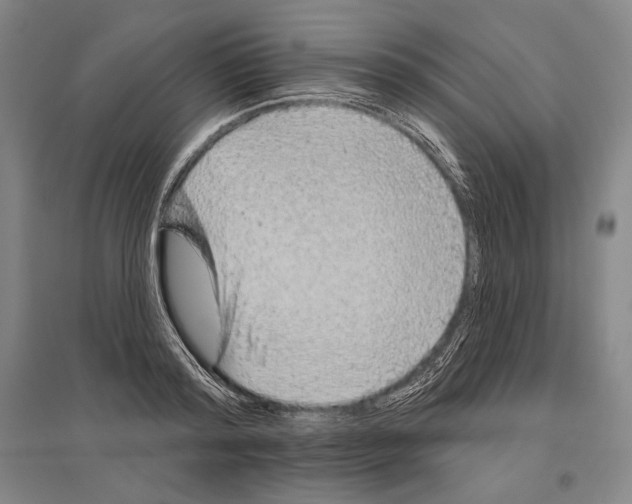 X0000096630796200803041103