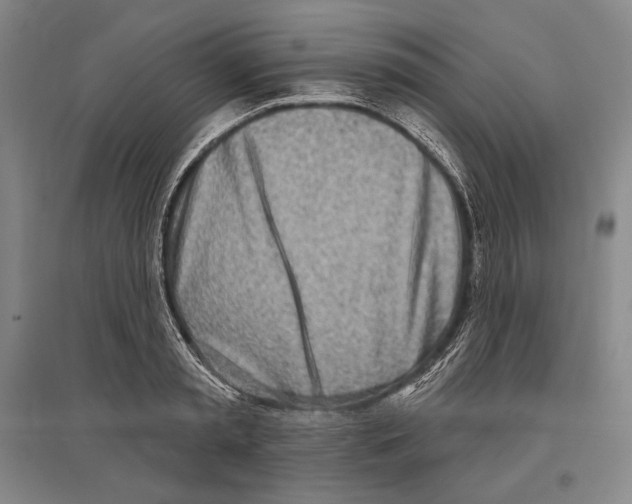 X0000096630797200803041103