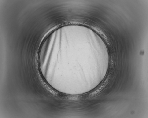 X0000096630798200803041103