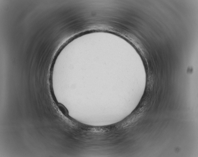 X0000096630799200803041103