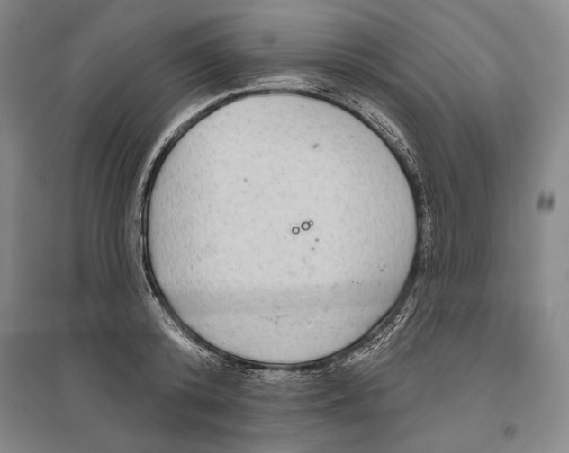 X0000096630800200803041103