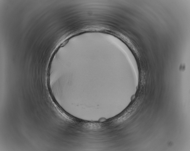 X0000096630802200803041103