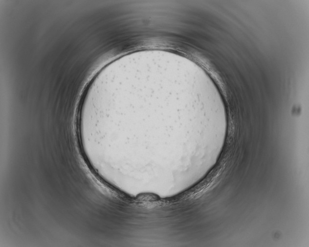 X0000096630803200803041103