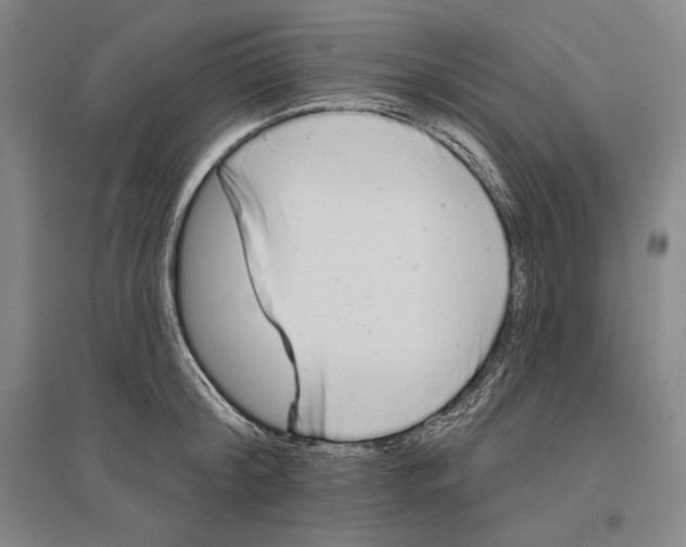 X0000096630804200803041103